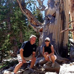 Meet your Posher, Nancy